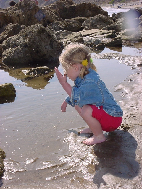 Chloé tide pools 3