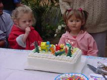 Andrea's B-day/Cake